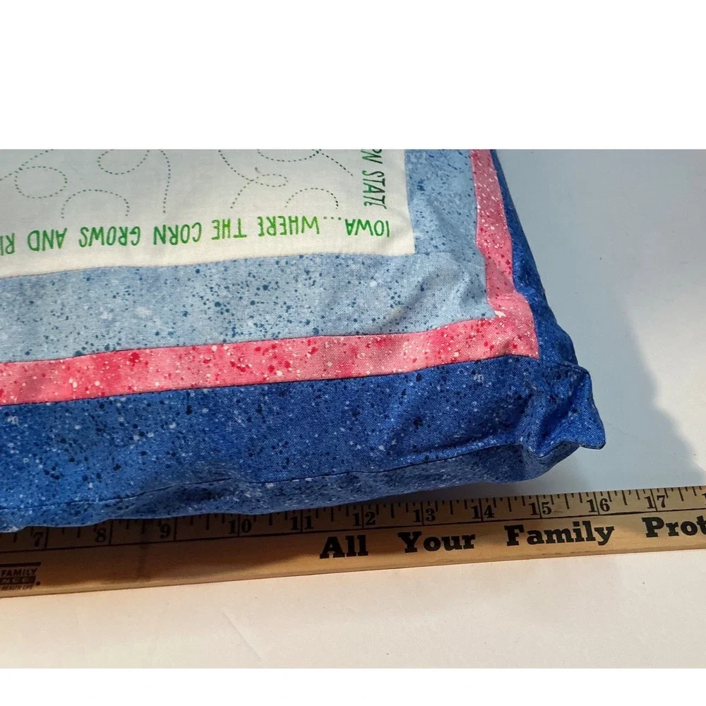 Vintage Iowa State Map Quilted Throw Pillows Set of 2 Blue Pink 16x16